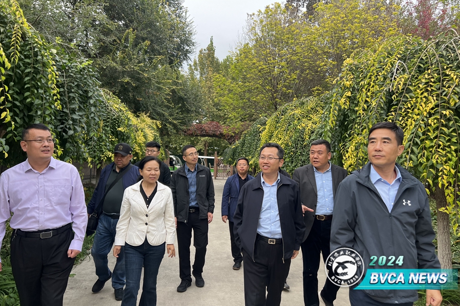 641825e6-a4ed-491d-8e41-9c243ad4fc51_副本