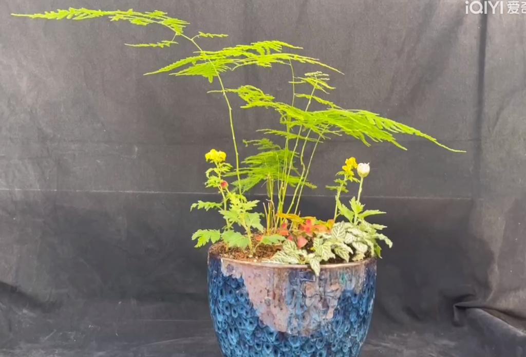 花卉生產與應用技術