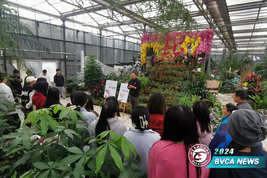 05e6ca889a1850f308a5bfb260b0c7b5_origin(1)_副本