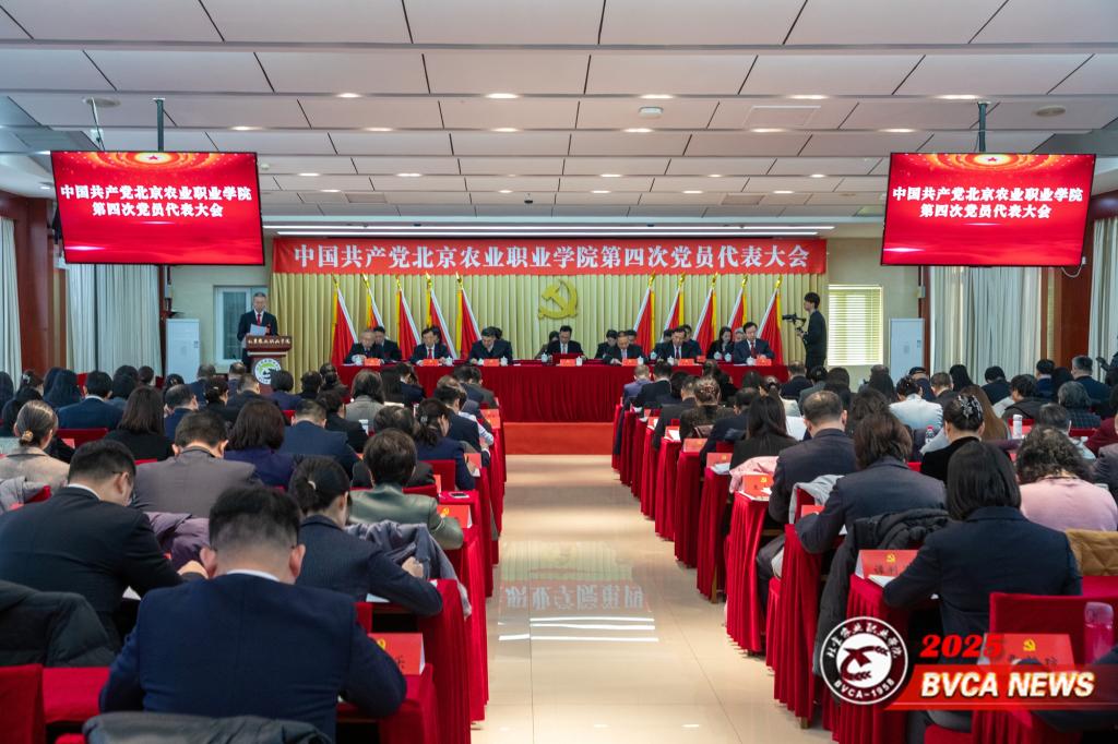 十二次掌聲 十二分期待