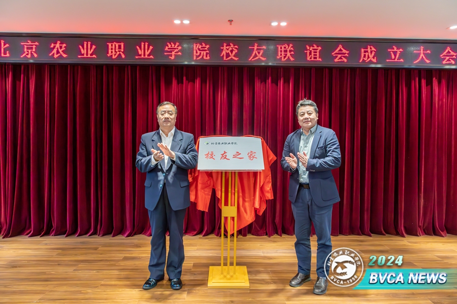 A73A5940-已增強-降噪_副本